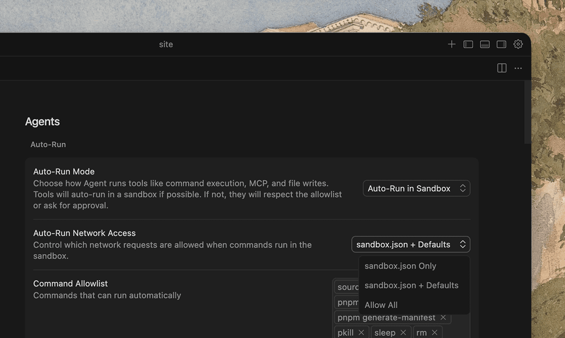 Настройки сетевого доступа в песочнице Cursor 2.5